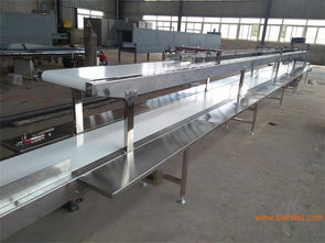 輸送機(jī)傳輸帶在印刷專用設(shè)備制造中的應(yīng)用、生產(chǎn)廠家與價格分析